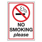 No Smoking Please -Decal